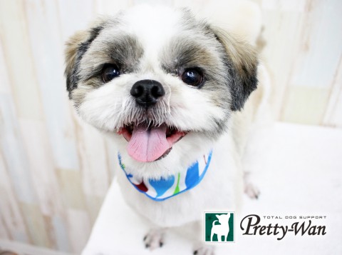 オオシマクリン160529