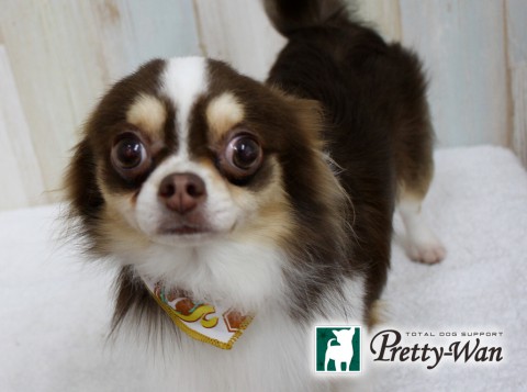 ヨシダコタロウ160520