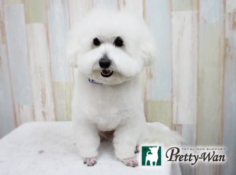 モトキハート160415