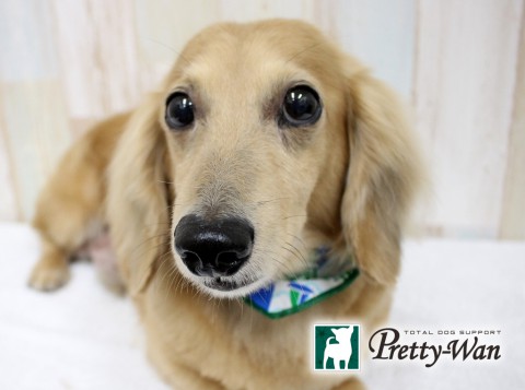 イトウラブ160615