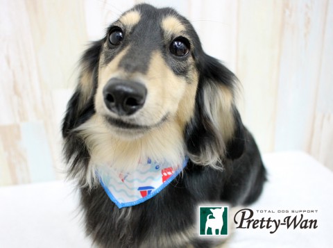 イワタエルマー160612