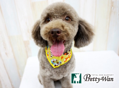 サワダイキチ160409