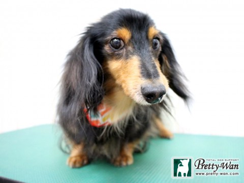 ハラダメグ160203