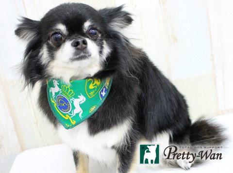 タケダコテツ160402