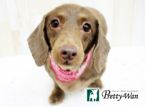 ハットリティンク160524