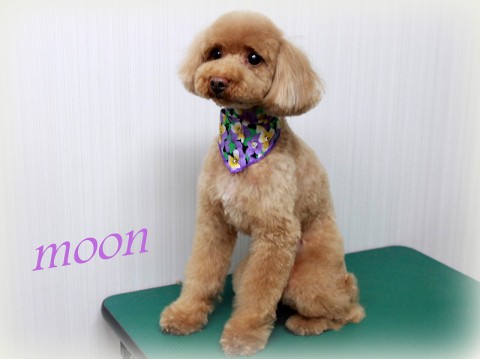 ヤマモトムーン150607