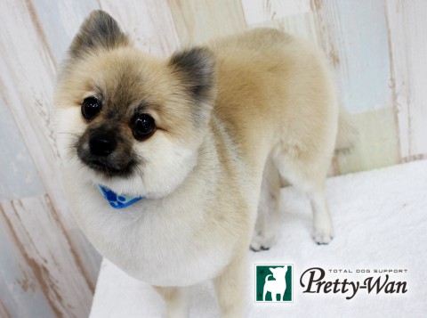 フジモトコタロウ160520