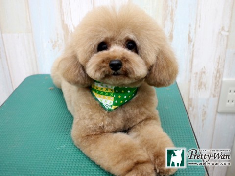 カンダマロン160125