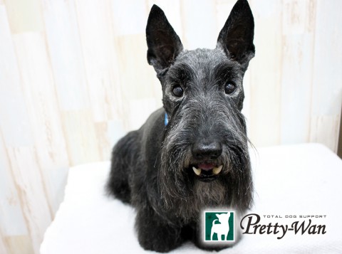 ニシオネオ160520