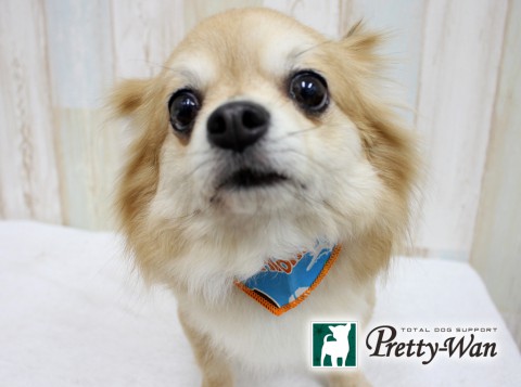 シマモトコウシ160628