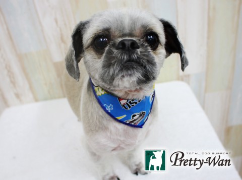 ミワユソナ160412