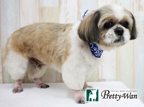 クリハラサブ160420