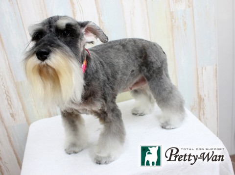 クノアケミ160316