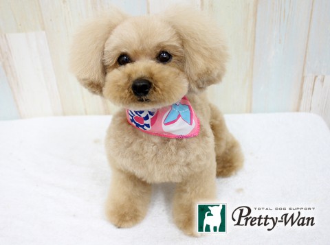 カナモリルナ160220