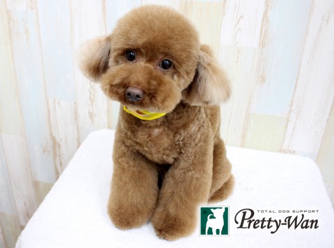 ナガタジャンティ160305