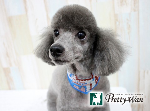 ノムラジロン160612