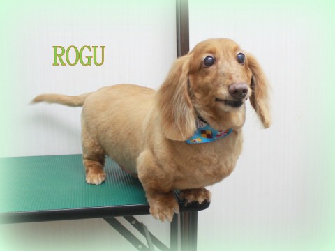 4月19日水野ログ