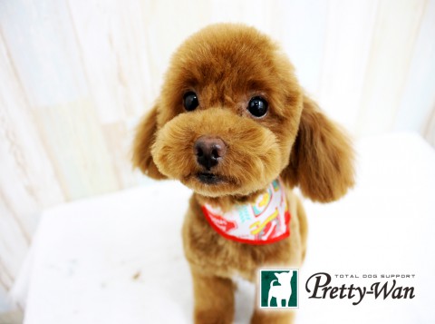 イマヅララ160507