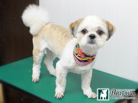 ヤマダエーク150109