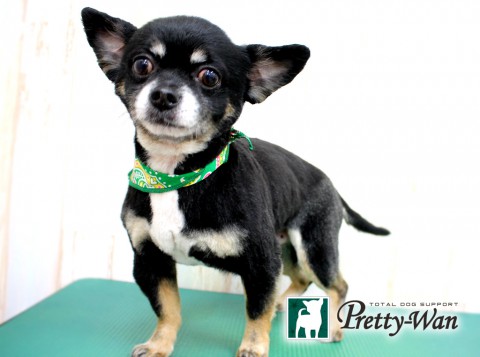 タカセチロ160422