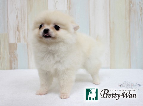 スズムラメイ160213