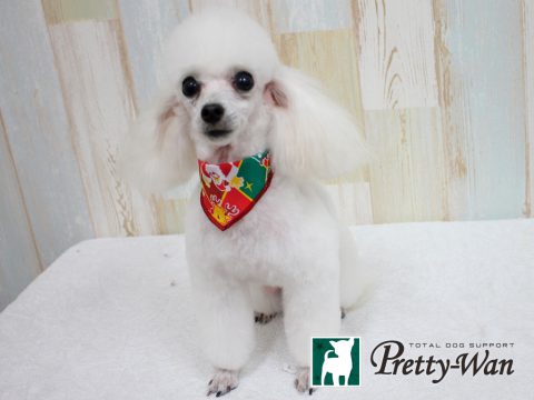 %e3%82%bf%e3%82%ab%e3%83%88%e3%83%aa%e3%83%9f%e3%83%9f1612002