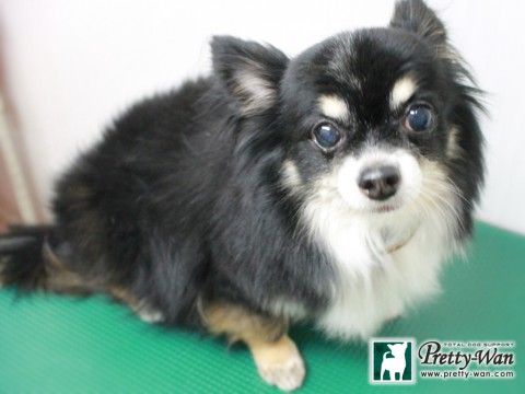 ナカオポッケ151226