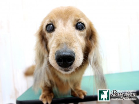 イトウデイヴィット160207