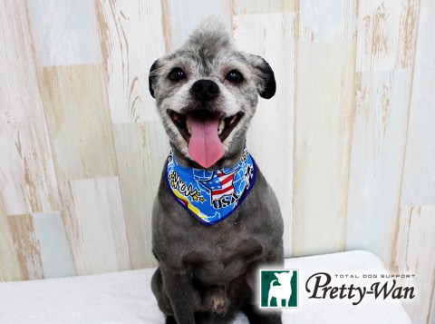 イマタナイト160509