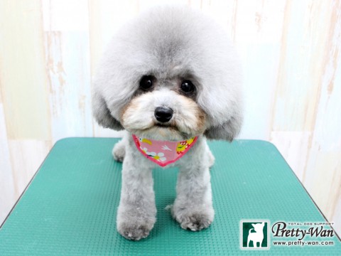 ミズノカナエル160206