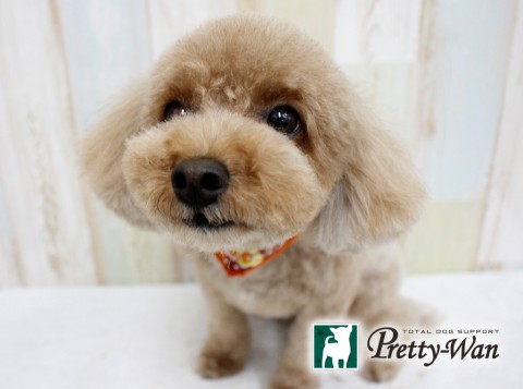 タカハラムース160620