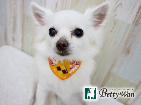 ムラセココハ160502