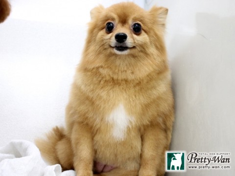 ヒガシダラム160131