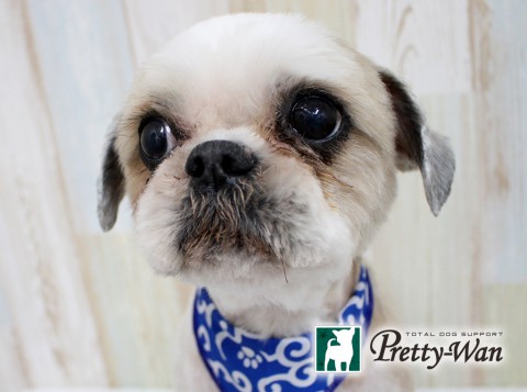 ホッタコタロウ160515