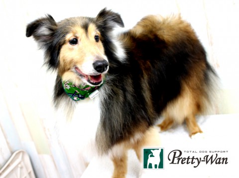 ナガイレオン160501