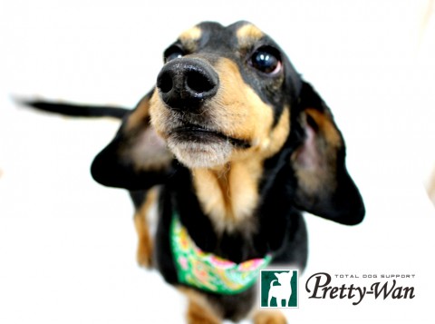 ナガイシエル160501