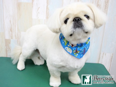 ヒシカワゴエモン160131 (2)