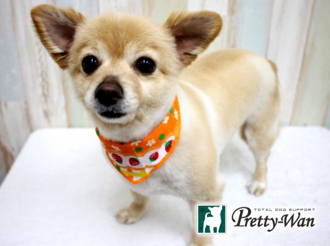 カワキタミルク160426