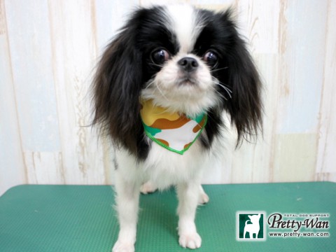 ミズタニルゥ160126