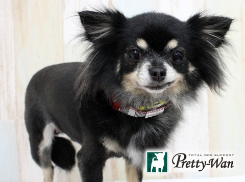 イケダチマキ160605