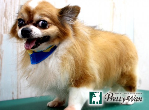 モトキジェイ160427