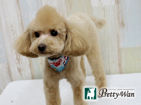 ヨシカワダン160423