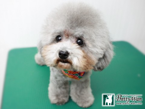 ミズノカナエル151230