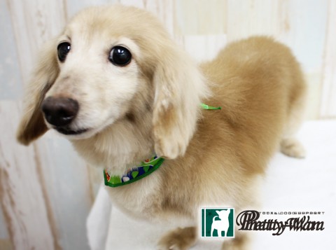 タナカミルク160327