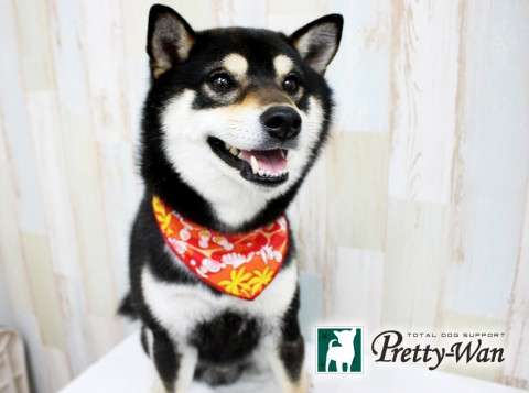 ナカノコタロウ160504