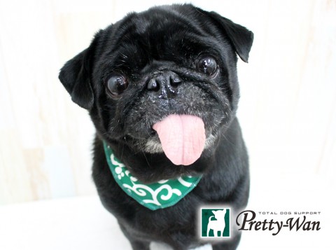 ソブエボブ160531