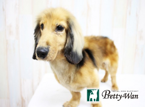 マエダラブ160419