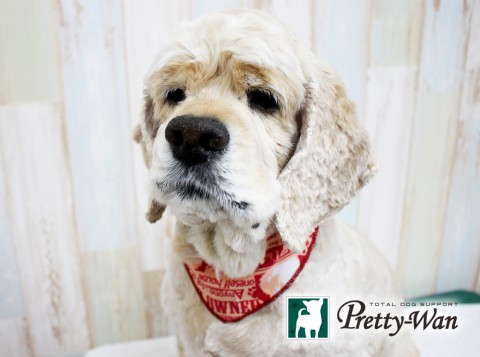 マエノホップ160521