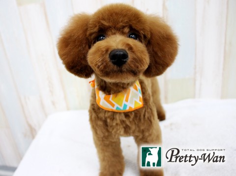 イナガキマロン160517