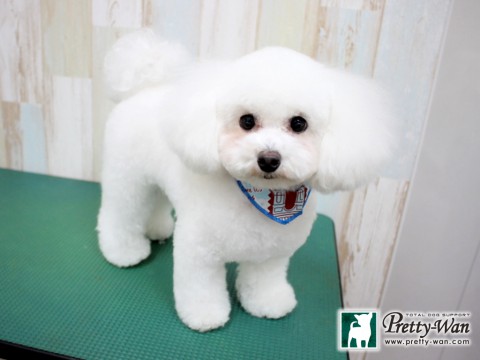 カトウアグ160130